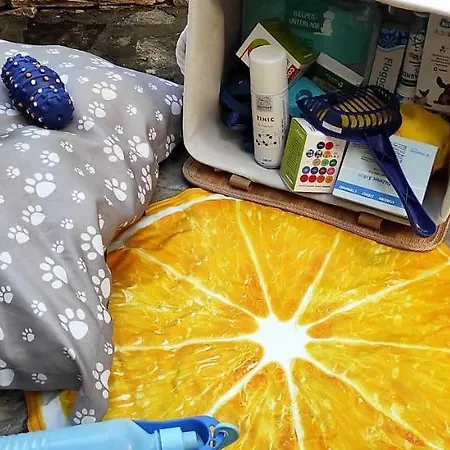 Appartamento Martina *