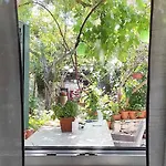 Martina * 수페타르